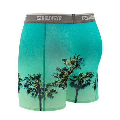 Cariloha Men's Bamboo Boxer Briefs - Breathable Underwear for Men - X-Large - Sky Palm
