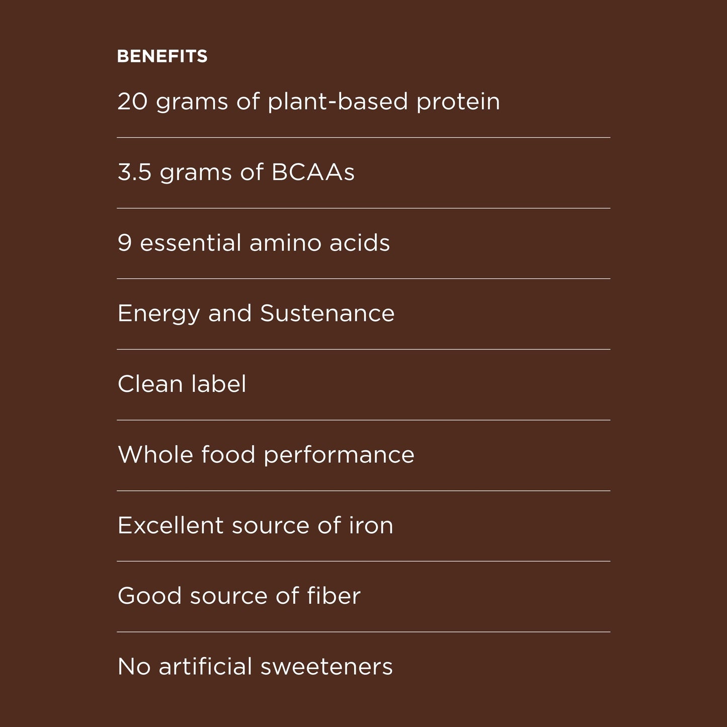 Possible Protein Powder Chocolate Cacao - 20 Grams Vegan Plant-Based Protein Mix, Non-GMO, Organic, Non-Dairy - 15-day supply
