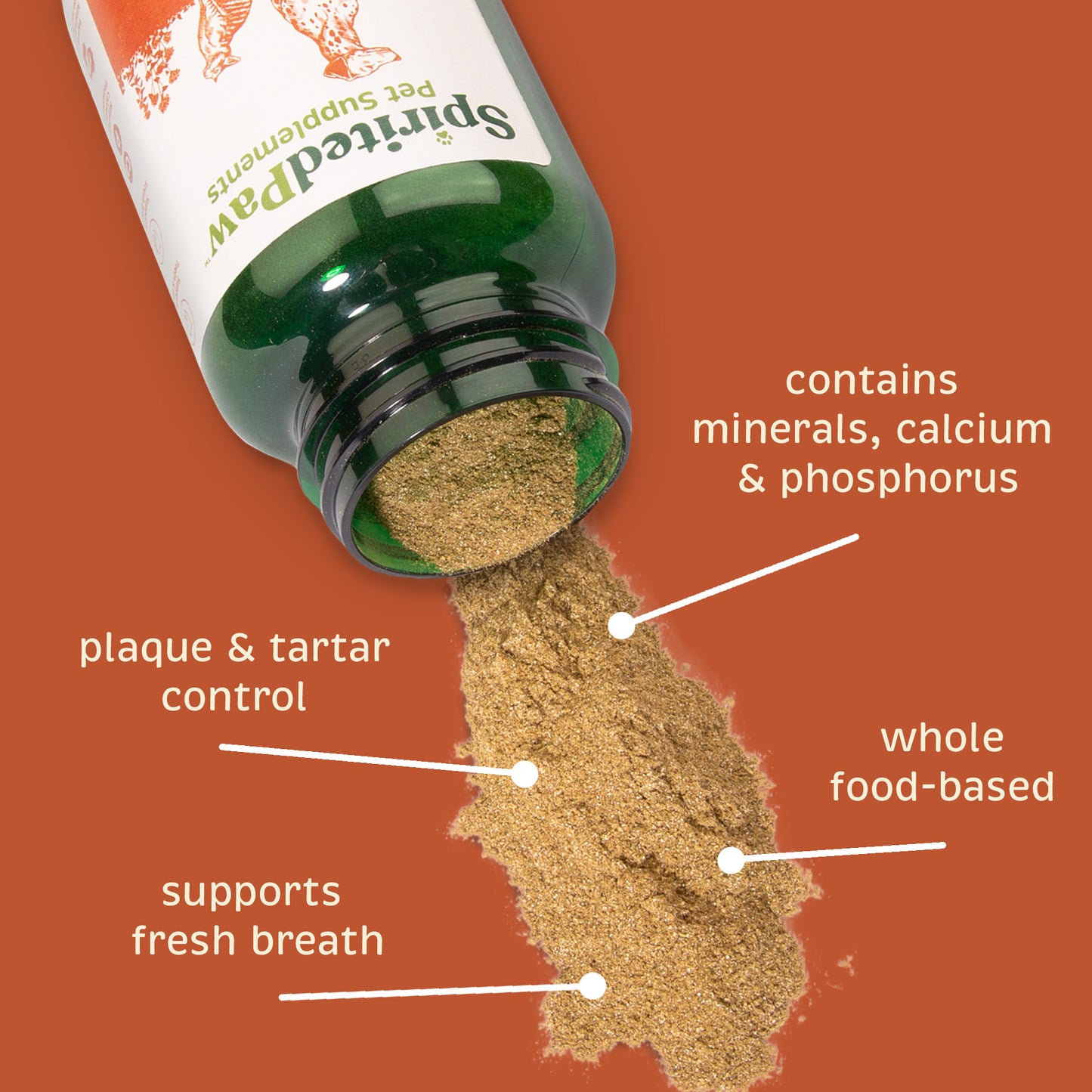 Spirited Paw Dental for Cats and Dogs - supports Teeth & Gums, Supports Fresh Breath, Plaque & tartar control, Minerals Calcium, Phosphorus, Maganese, Powder 165g