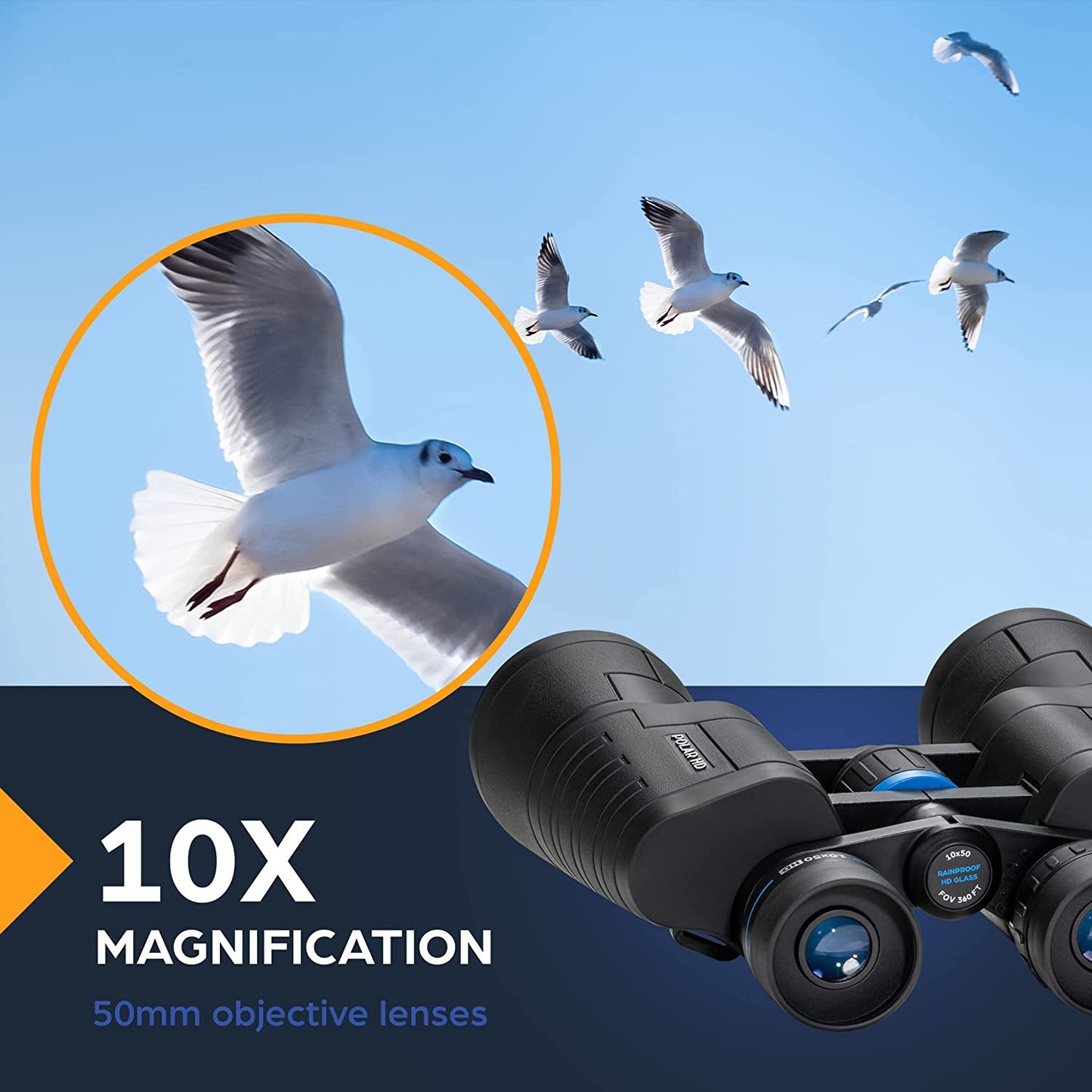 TSO Polar 10x50 Porro Binocular