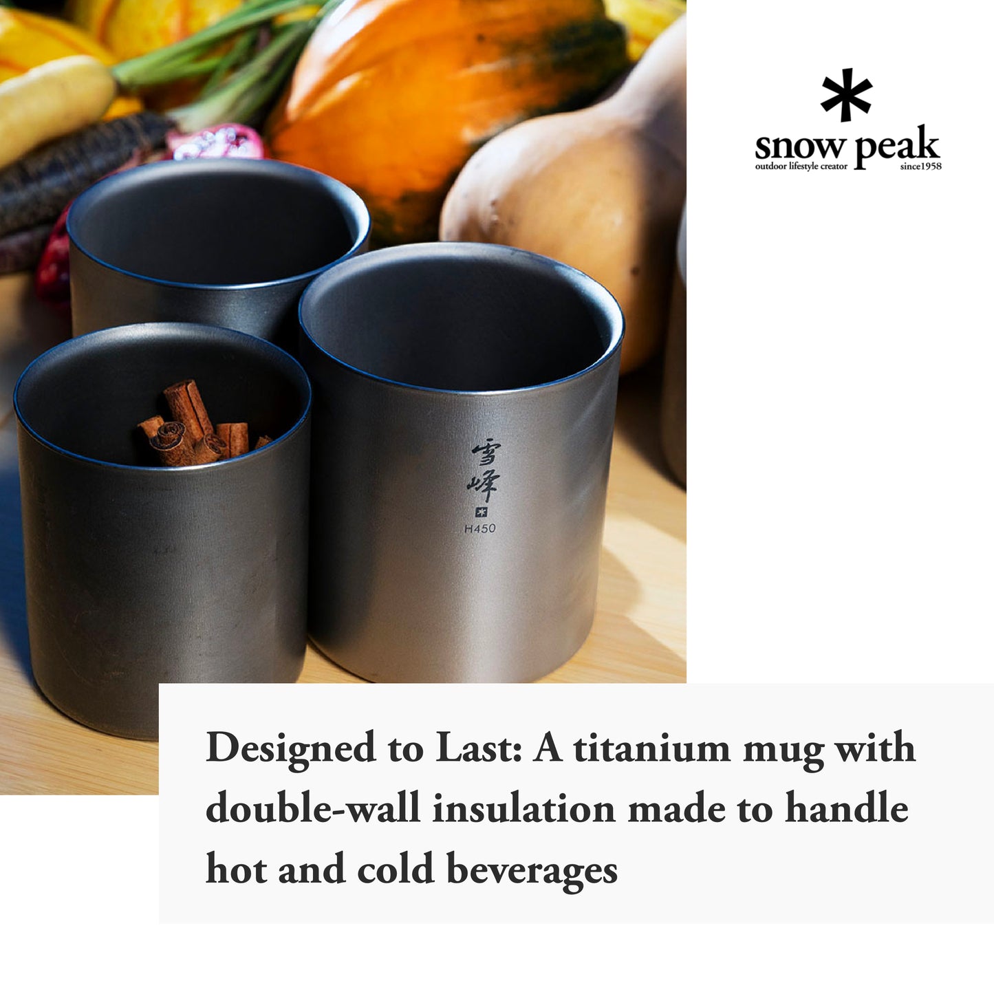 Snow Peak Double-Wall Insulated Mug - Hot & Cold Beverages - Titanium Mug - 15.2 fl oz