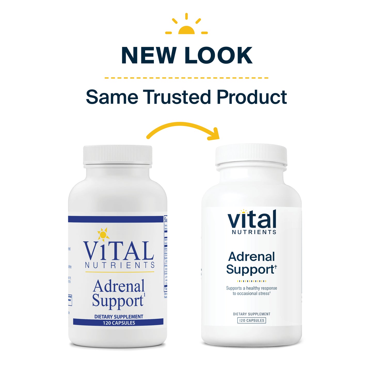 Vital Nutrients - Adrenal Support - Suitable for Men and Women - Supports Adrenal Gland Function, Supports Mild Stress and Anxiety, and Supports a Healthy Immune System - 120 Capsules