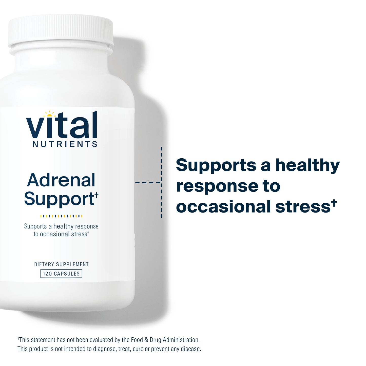 Vital Nutrients - Adrenal Support - Suitable for Men and Women - Supports Adrenal Gland Function, Supports Mild Stress and Anxiety, and Supports a Healthy Immune System - 120 Capsules