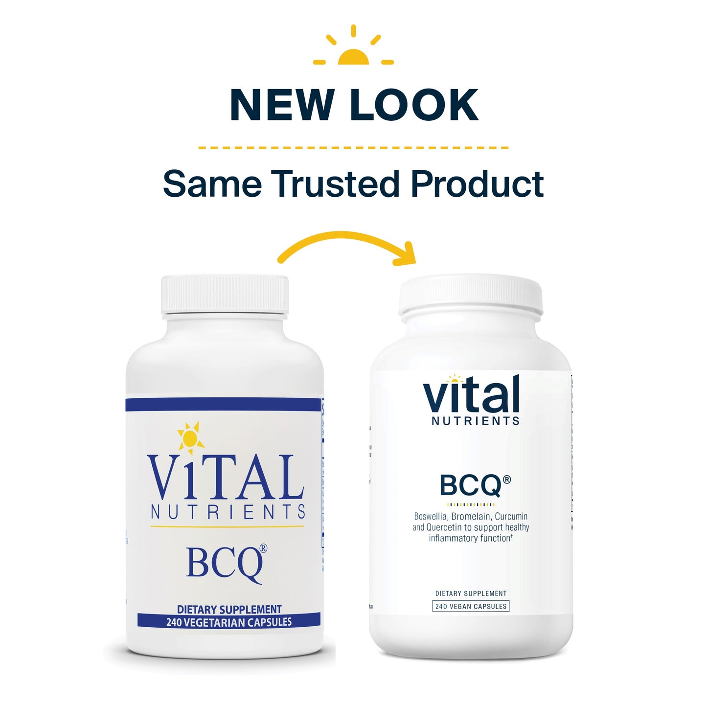 Vital Nutrients - BCQ (Bromelain, Curcumin and Quercetin) - Herbal Support for Joint, Sinus and Digestive Health - 240 Capsules