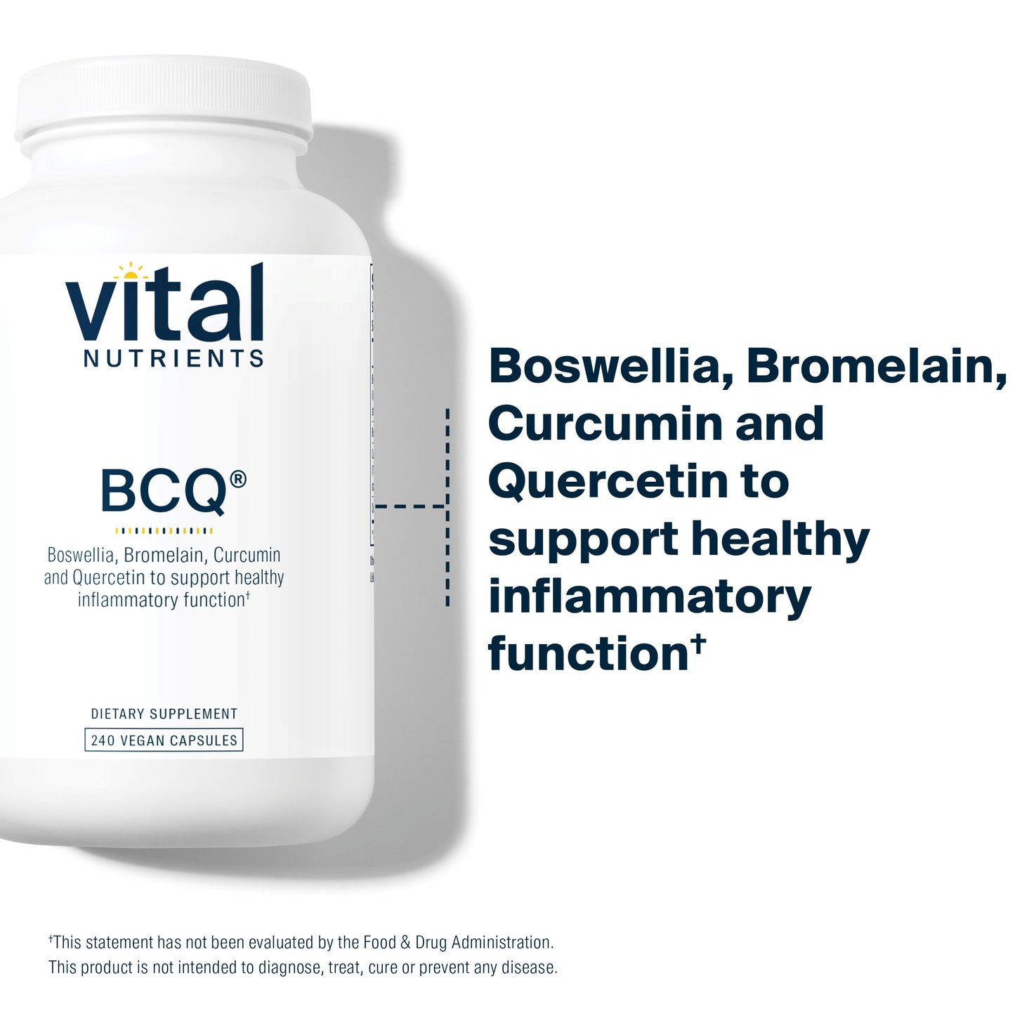 Vital Nutrients - BCQ (Bromelain, Curcumin and Quercetin) - Herbal Support for Joint, Sinus and Digestive Health - 240 Capsules