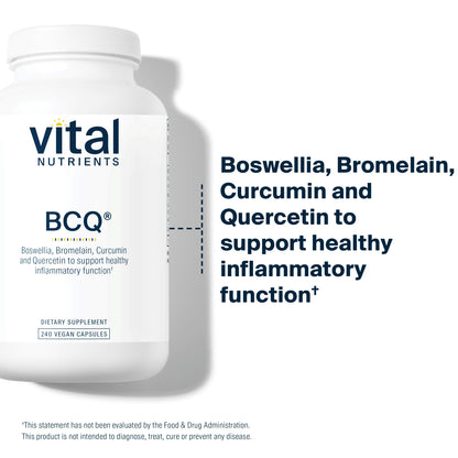 Vital Nutrients - BCQ (Bromelain, Curcumin and Quercetin) - Herbal Support for Joint, Sinus and Digestive Health - 240 Capsules