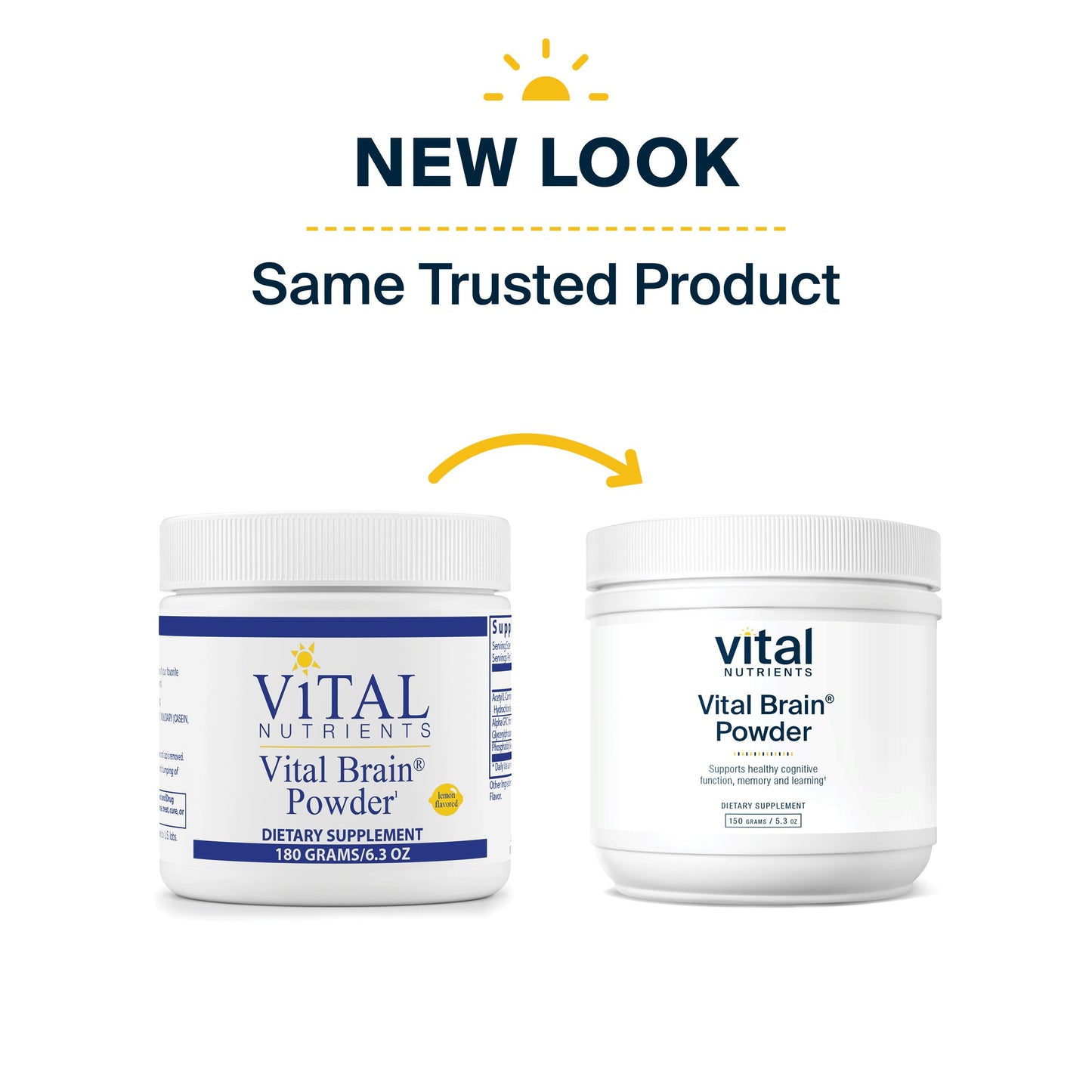Vital Nutrients - Vital Brain Powder - Support for Brain Health and Cognitive Function - Vegetarian - Unflavored - 150 Grams