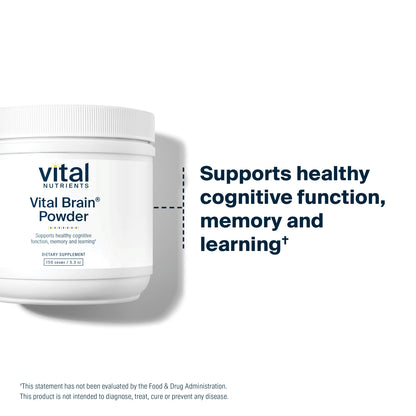 Vital Nutrients - Vital Brain Powder - Support for Brain Health and Cognitive Function - Vegetarian - Unflavored - 150 Grams