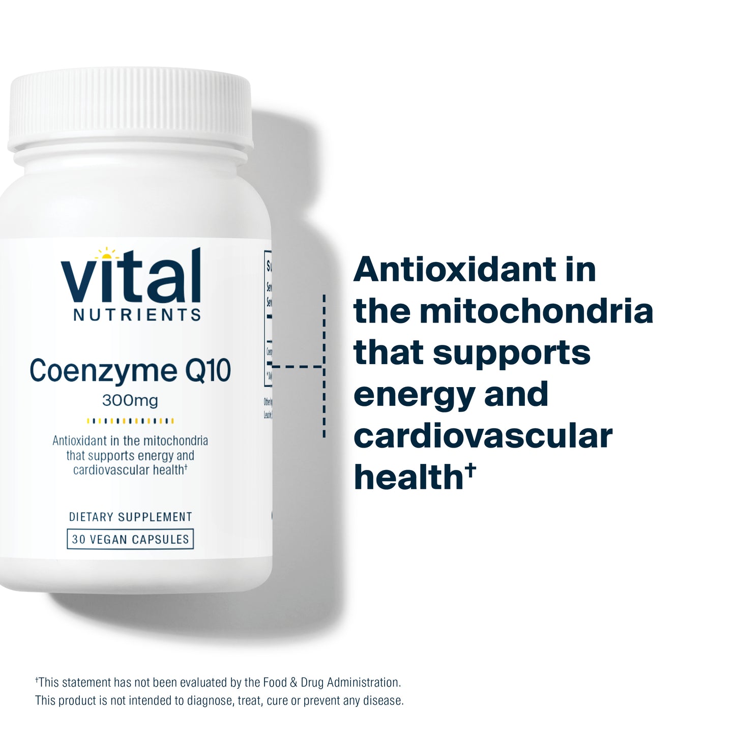 Vital Nutrients - CoEnzyme Q10 - CoQ10 - Potent Antioxidant - 30 Vegetarian Capsules per Bottle - 300 mg