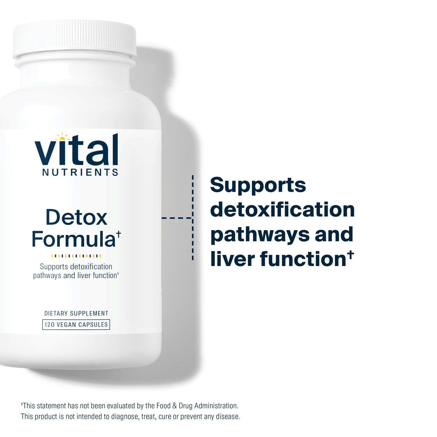 Vital Nutrients - Detox Formula - Specially Designed Formula for Liver and Detoxification Support - 120 Capsules per Bottle