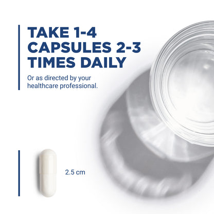 Vital Nutrients - Glutamine - Gastrointestinal and Immune Support - 100 Vegetarian Capsules per Bottle - 3400 mg