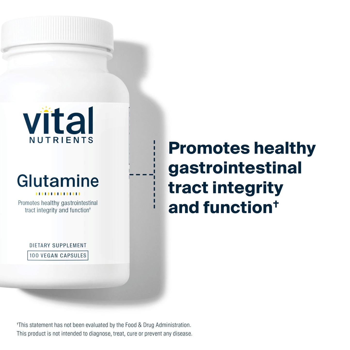 Vital Nutrients - Glutamine - Gastrointestinal and Immune Support - 100 Vegetarian Capsules per Bottle - 3400 mg