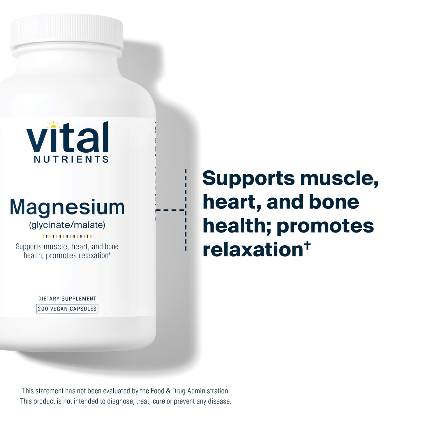 Vital Nutrients Magnesium Glycinate and Malate | Vegan Supplement to Support Stress Relief, Bones, Sleep and Heart Health | Gluten, Dairy and Soy Free | 120mg | 200 Vegetarian Capsules