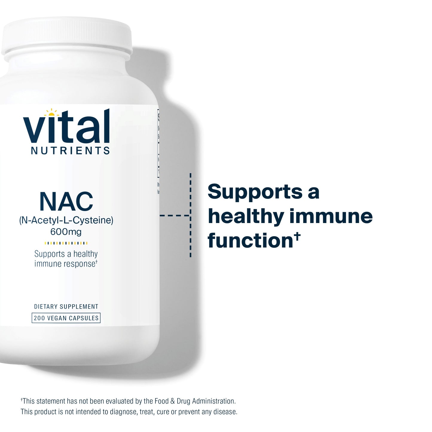 Vital Nutrients NAC | N-Acetyl Cysteine | Vegan Supplement | Supporting Sinus and Respiratory Health | 600mg | Gluten, Dairy, and Soy Free | 200 Vegetarian Capsules