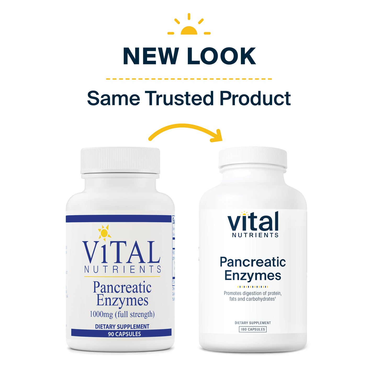 Vital Nutrients Pancreatic Enzymes 1000mg (Full Strength) | Pancreatin Digestion Supplement with Protease, Amylase & Lipase | Digestive Enzymes | Gluten, Dairy, and Soy Free | 180 Capsules