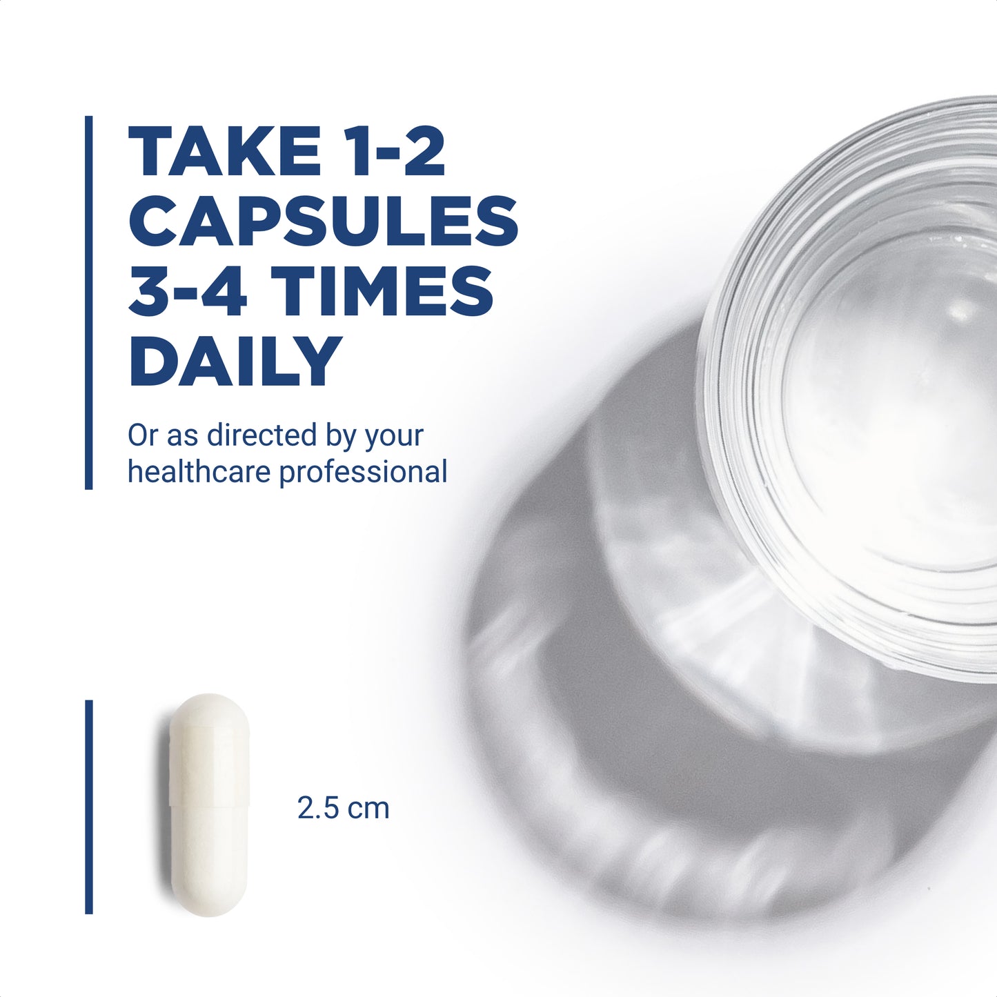 Vital Nutrients - Vitamin C 1000 mg (100% Pure Ascorbic Acid) - Potent Antioxidant to Support Iron Absorption - 220 Vegetarian Capsules
