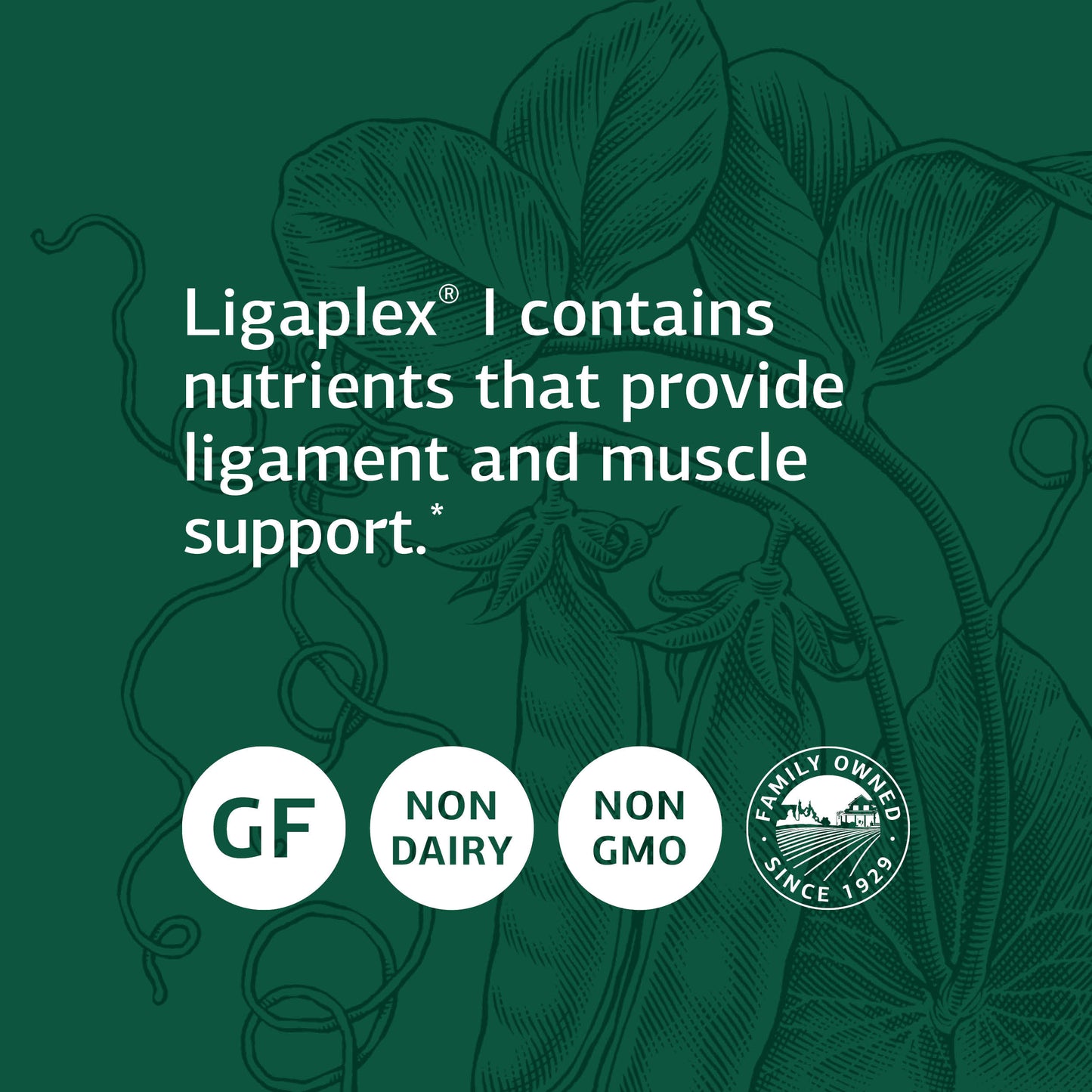 Standard Process Circuplex - Whole Food RNA Supplement, Nervous System Supplement, Vascular Supplement, and Blood Circulation Supplement with Phosphoric Acid, Soy Protein, Niacin - 150 Capsules