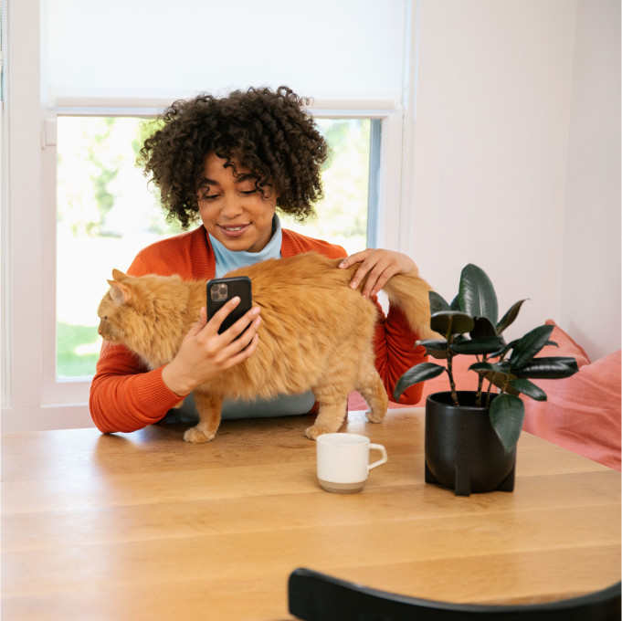 Wisdom Panel, Cat DNA Test for Comprehensive Health, Traits and Ancestry