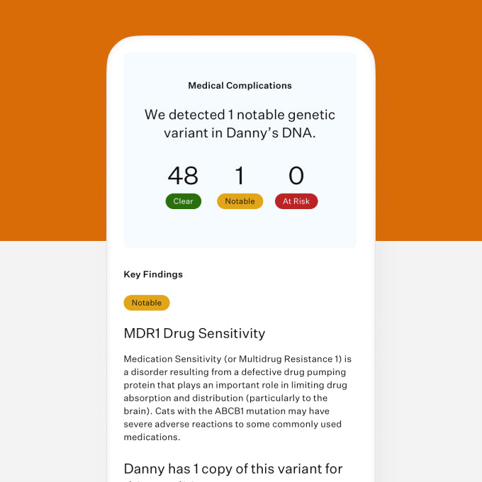 Wisdom Panel, Cat DNA Test for Comprehensive Health, Traits and Ancestry