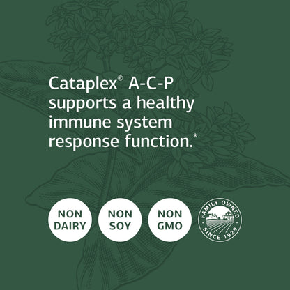 Standard Process Cataplex A-C-P Heart Health, Gum Health, Immune Support, and Vascular Supplement with Vitamin C, Magnesium Citrate, Nutritional Yeast, Vitamin A, Reishi Mushroom Powder - 360 Tablets