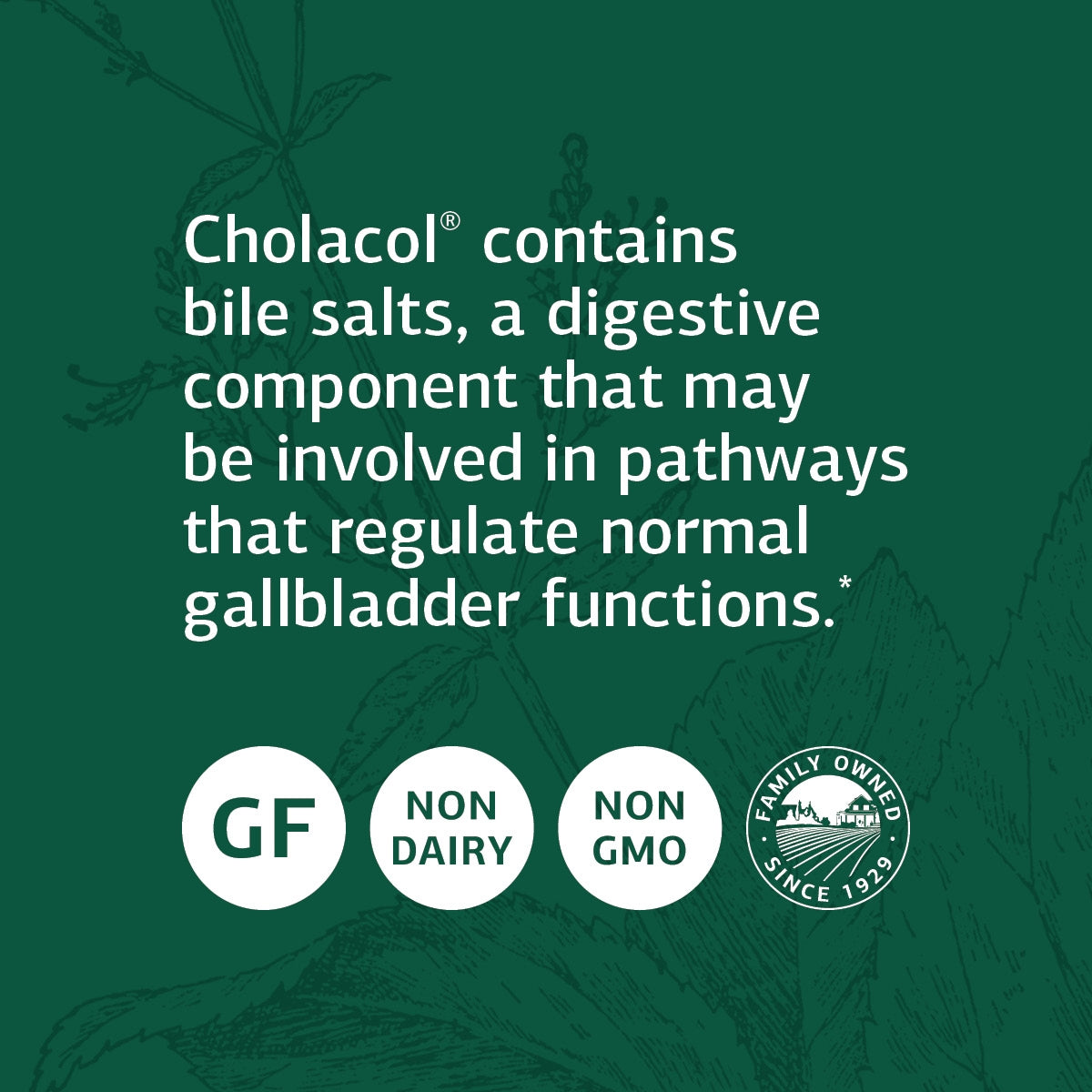 Standard Process SP Cleanse - Whole Food Gallbladder Cleanse, Liver Cleanse, Kidney Support, Digestion and Toxin Cleanse with Collinsonia Root, Juniper Berry, Cordyceps Mushroom, and More - 150 Caps