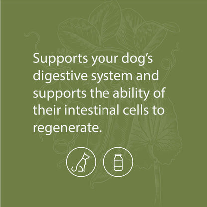 Standard Process - Canine Enteric Support - 110 Grams