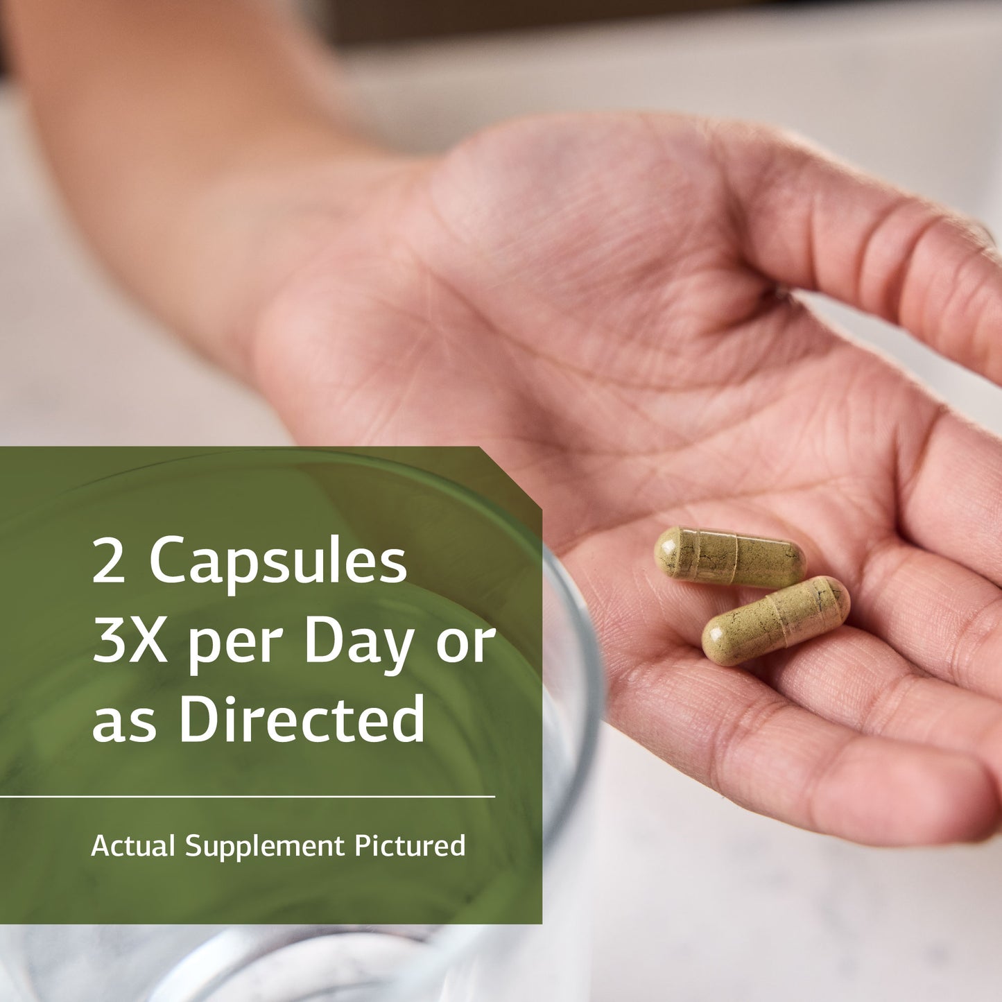 Standard Process - Cal-Ma Plus - 180 Tablets