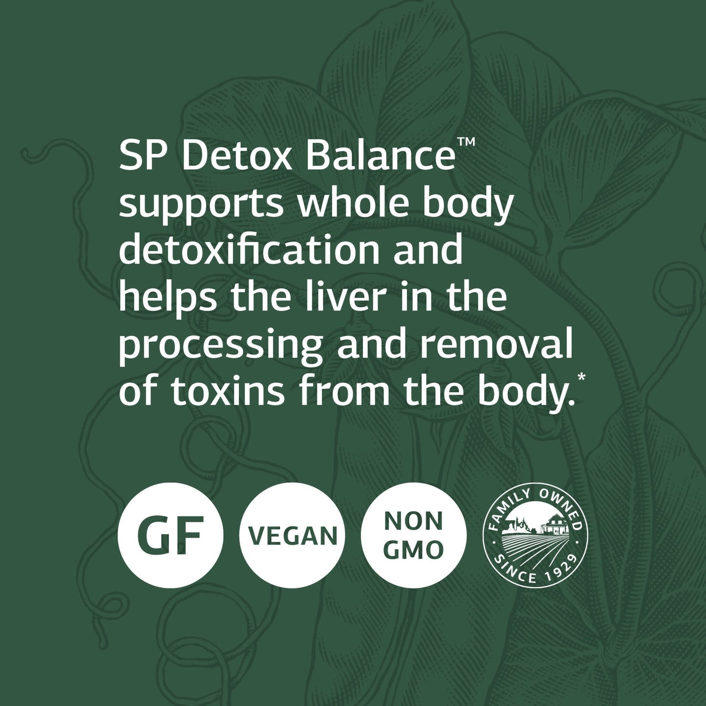Standard Process General Health Daily Fundamentals - Maintain Optimal Health with Vitamin D, Zinc, Vitamin C, Iron, Vitamin B12, Vitamin A, Iodine, Copper, Vitamin B6, DHA, EPA - 60 Pack