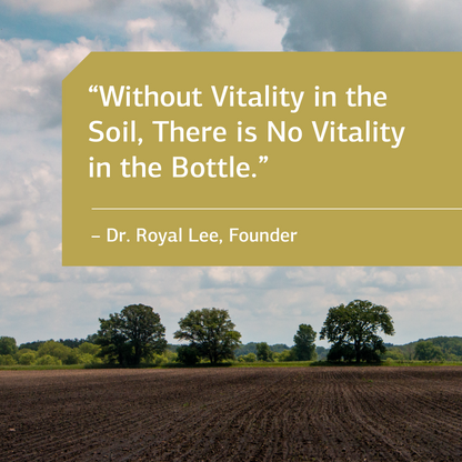 Standard Process SP Complete - Whole Food Immune Support, Liver Support, Antioxidant, and Weight Management with Rice Protein, Grapeseed Extract, and Choline - Vegetarian, Chocolate - 26 Ounce
