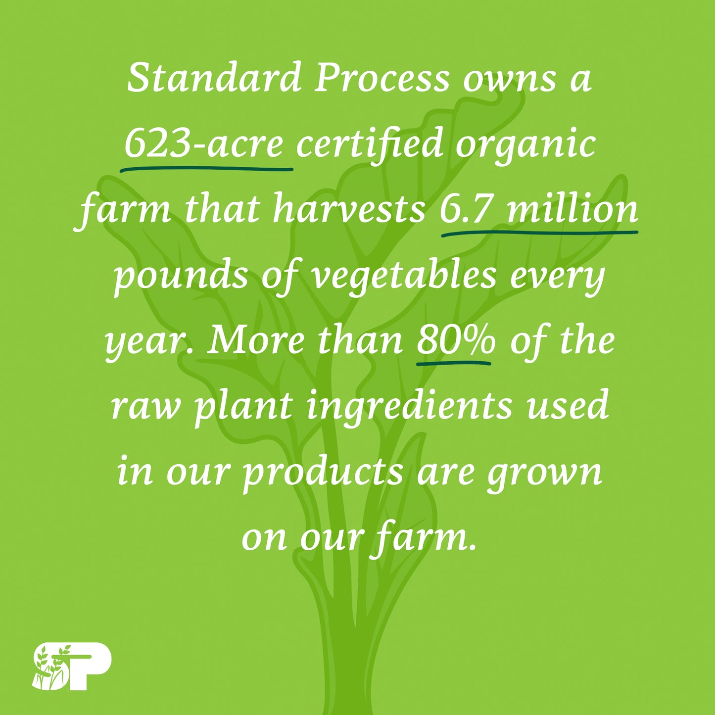 Standard Process - Enzycore - 150 Capsules