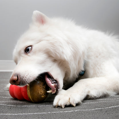 KONG - Classic Durable Dog Toy and Marathon Chew Treat Combo (2 Pieces) - Chicken, Large