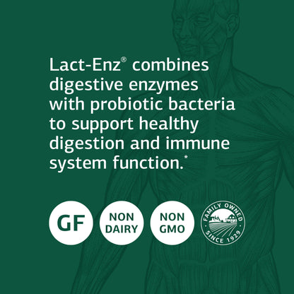 Standard Process Lact-ENZ - Whole Food Immune Support, Digestion and Digestive Health with Bifidobacterium Longum, Cellulase, Protease, Amylase, Lipase, Maltodextrin and More - 150 Capsules