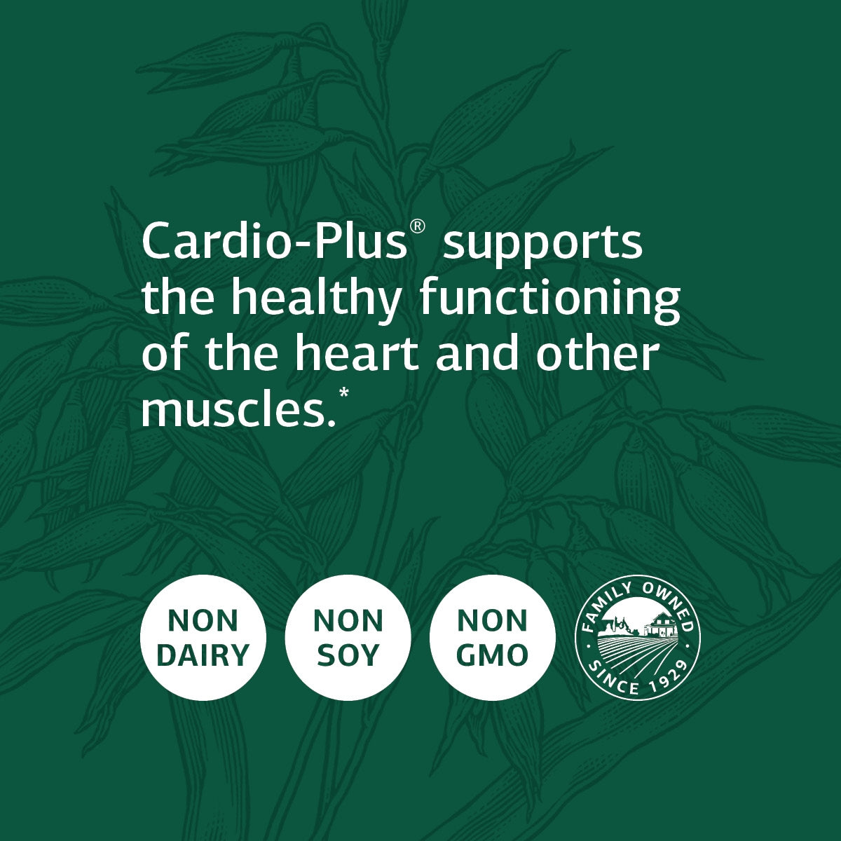 Standard Process Cardio-Plus - Supports Heart Health and Blood Flow with Antioxidant Activity from Vitamin C, Vitamin E, Riboflavin, Niacin, Vitamin B6, Choline, Selenium, and More - 330 Tablets