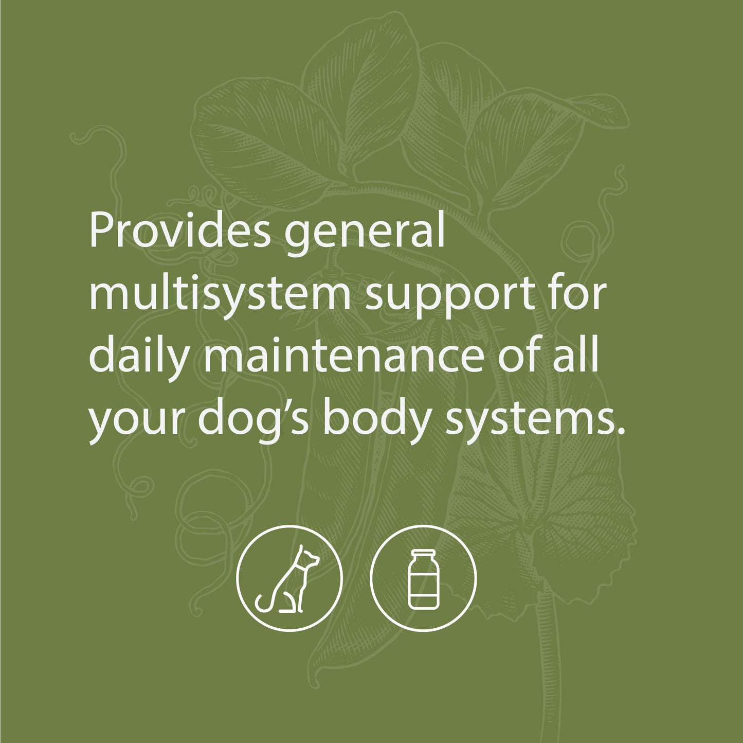 Standard Process - Canine Whole Body Support - 100 Grams