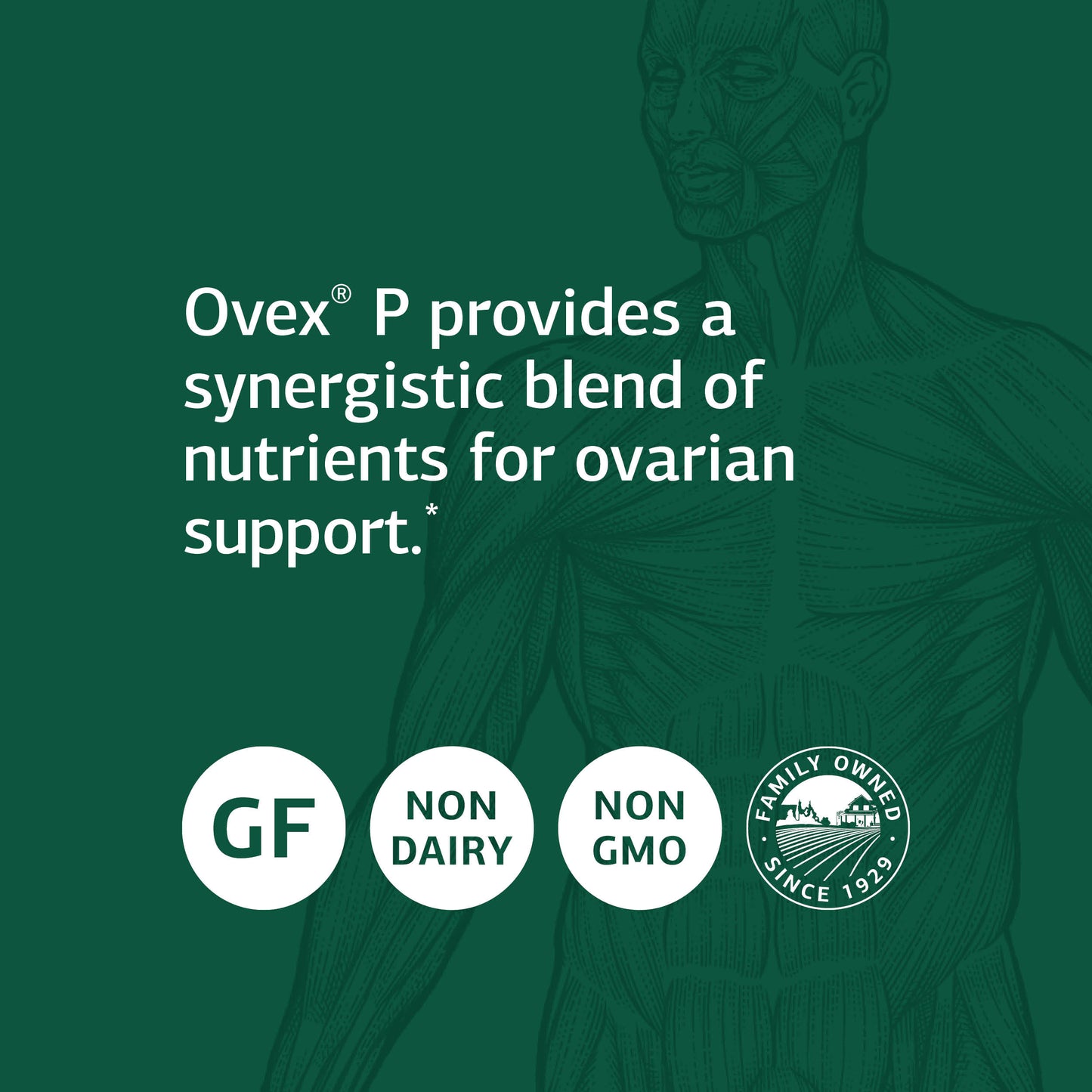 Standard Process Calamari Omega-3 Liquid - Emotional Support, Heart Health, Brain Health, and Hair, Skin, and Nail Health Support with EPA and DHA from Squid Oil - 200mls