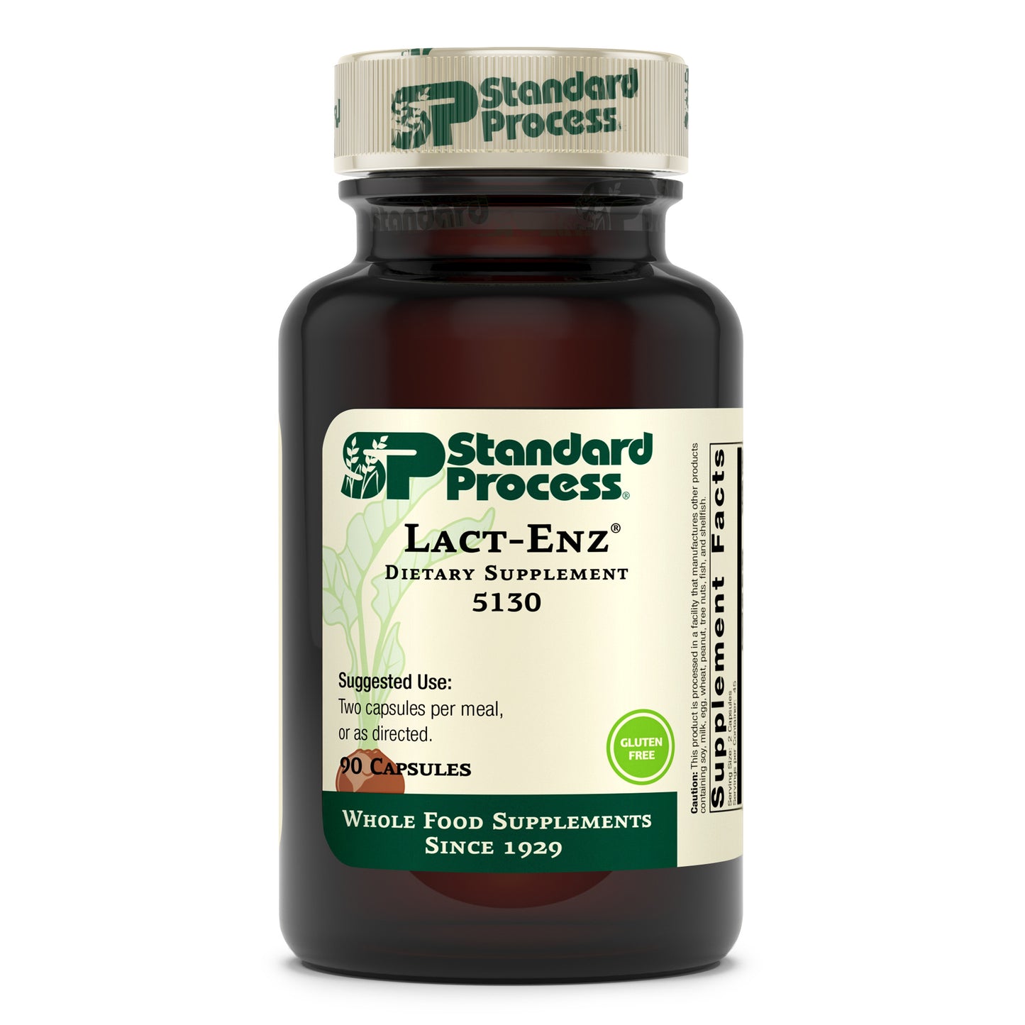 Standard Process Lact-ENZ - Whole Food Immune Support, Digestion and Digestive Health with Bifidobacterium Longum, Cellulase, Protease, Amylase, Lipase, Maltodextrin and More - 90 Capsules