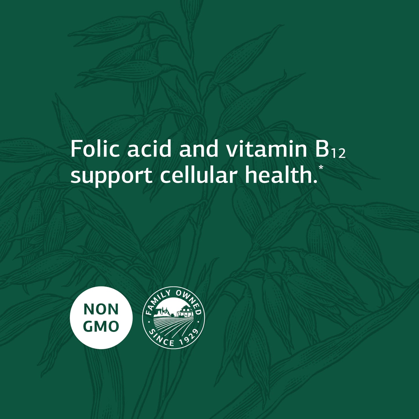Standard Process Epimune Complex - Whole Food Respiratory Support with Maitake Mushroom Powder, Dried Yeast, Superfruit, Coriolus Versicolor, and Acerola - 90 Capsules