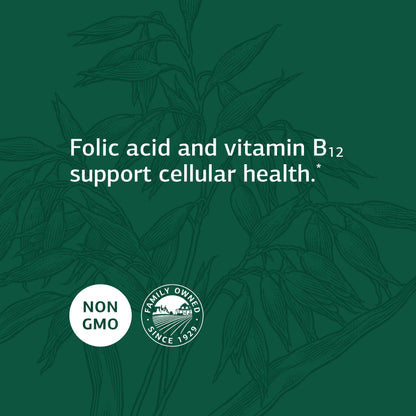 Standard Process Epimune Complex - Whole Food Respiratory Support with Maitake Mushroom Powder, Dried Yeast, Superfruit, Coriolus Versicolor, and Acerola - 90 Capsules