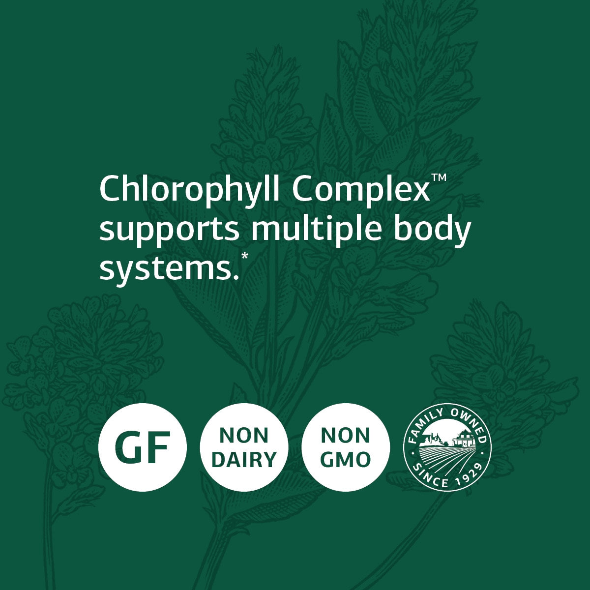 Standard Process Chlorophyll Complex - Immune Support, Antioxidant Activity, Skin Health and Hair Health Support with Vitamin A, Sunflower Lecithin, Buckwheat, Spanish Moss, and More - 240 Softgels