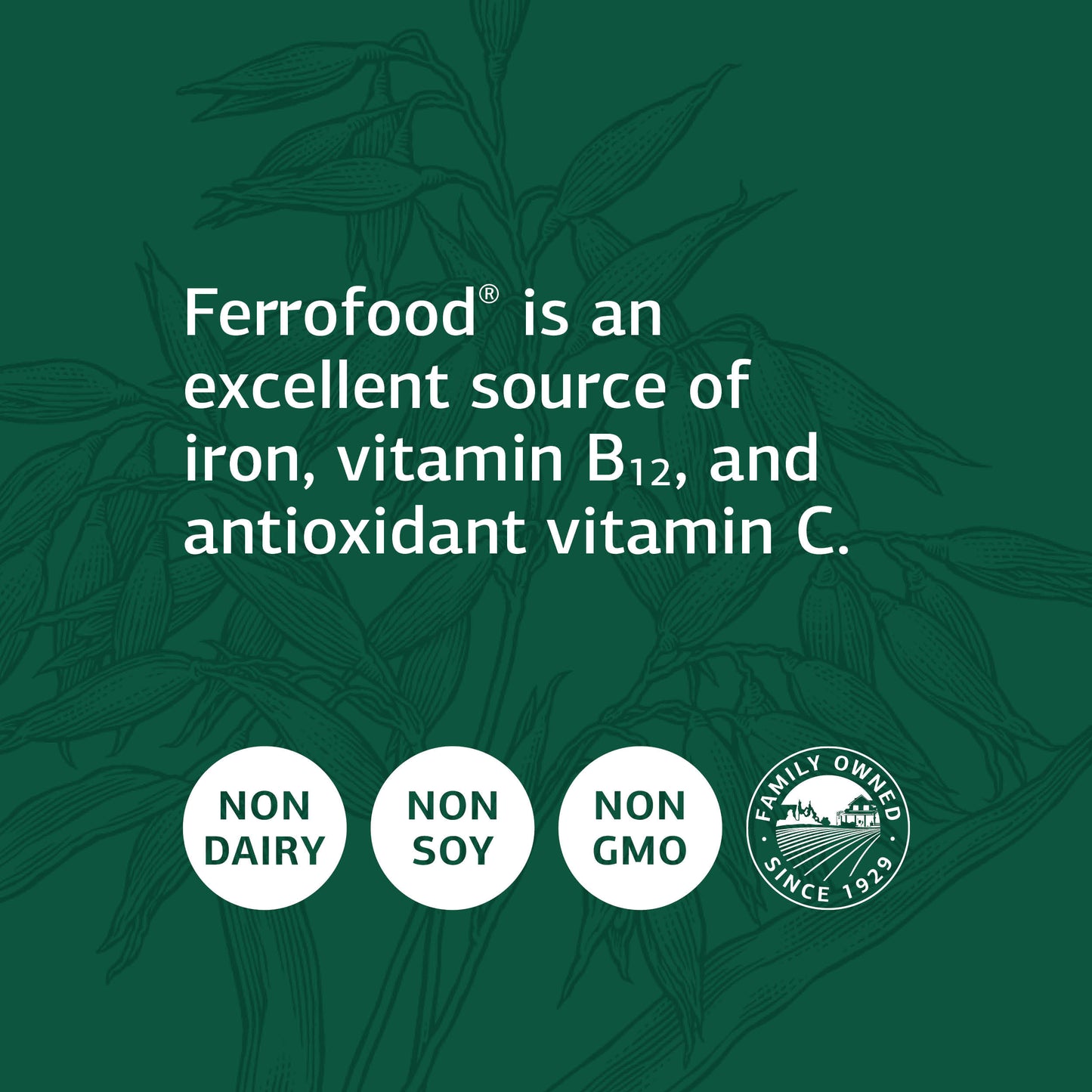 Standard Process Ferrofood - Whole Food Antioxidant, Healthy Blood and Hemoglobin with Cyanocobalamin, Acerola, Shiitake, Rice Bran, Organic Carrot, Alfalfa, Spanish Moss - 150 Capsules