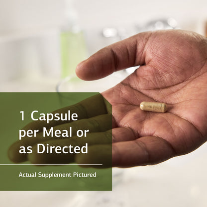 Standard Process Calcifood - Supports Calcium Absorption - Build Bone Strength with Calcium, Phosphorus, Defatted Wheat Germ, Organic Carrot, Date Fruit, Honey, and More - 100 Wafers
