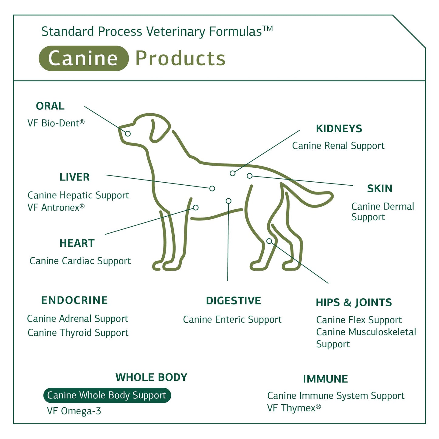 Standard Process - Canine Whole Body Support - 100 Grams