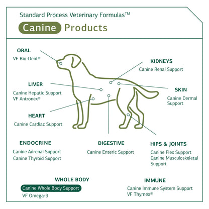 Standard Process - Canine Whole Body Support - 100 Grams